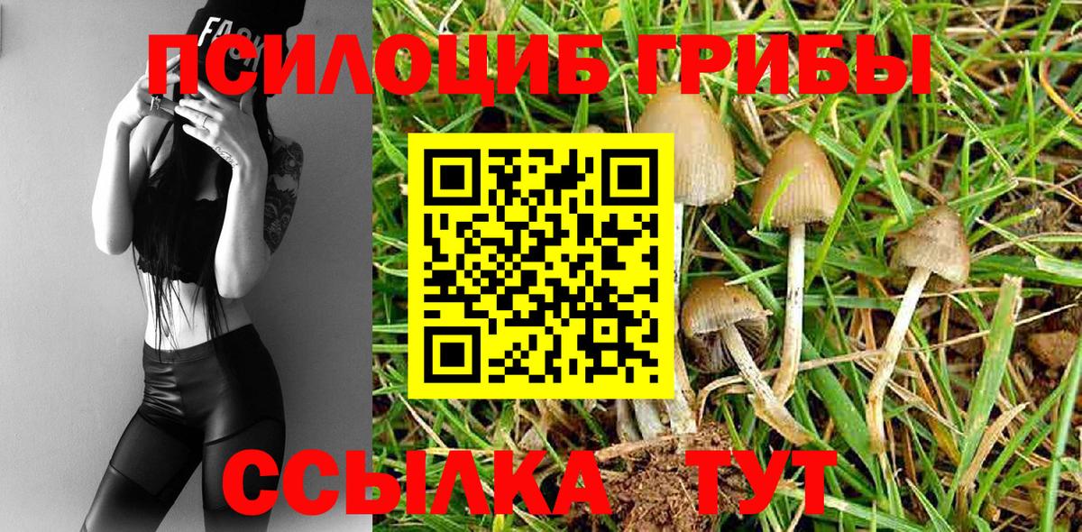 Саратов  Галлюциногенные грибы ЛСД  Псилоцибиновые грибы Psilocybine cubensis  Вход с VPN 
